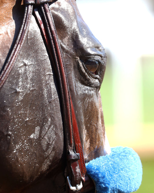 CORNUCOPIAN - 053026 - Race 08 - CD  The Aristides G3 - Come Back 04