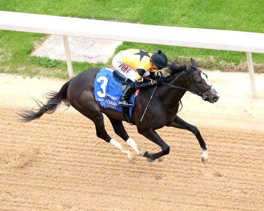 COUNTING STARS - The Fantasy Stakes G2 - 03-27-26 - R11 - OP - Aerial Finish 01 - Coady Media - Kurtis Coady Photography