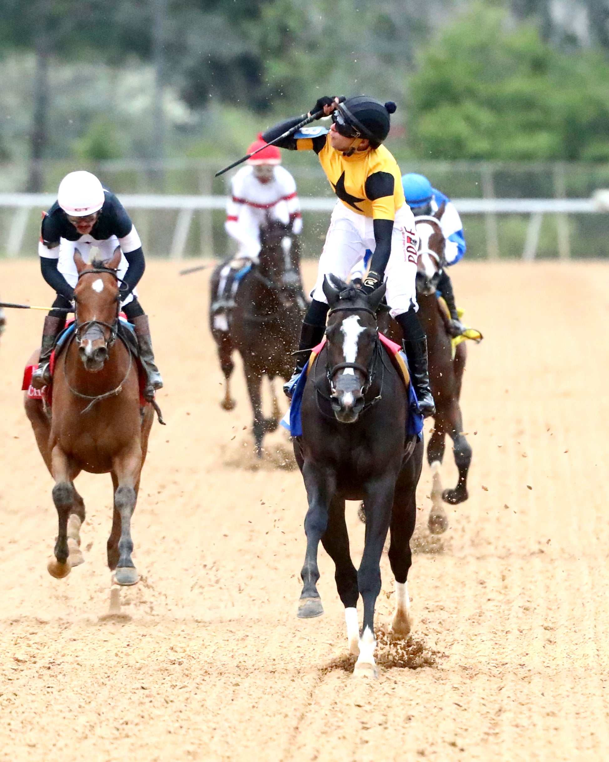 COUNTING STARS - The Fantasy Stakes G2 - 03-27-26 - R11 - OP - Celebration 04 - Coady Media - Kurtis Coady Photography