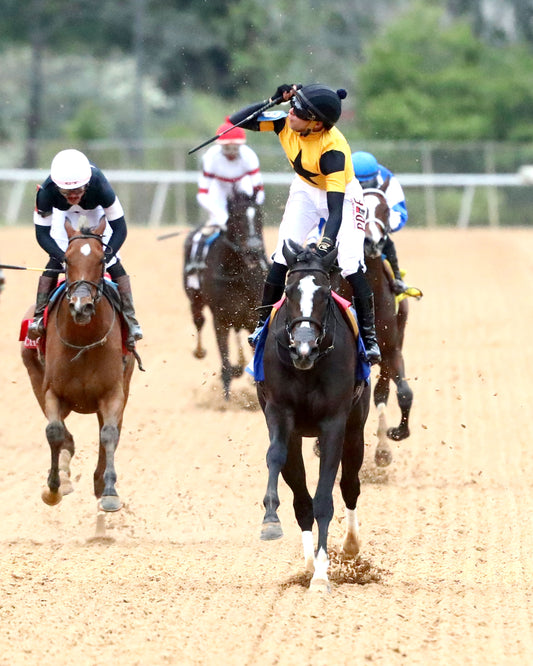 COUNTING STARS - The Fantasy Stakes G2 - 03-27-26 - R11 - OP - Celebration 04 - Coady Media - Kurtis Coady Photography
