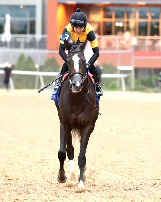 COUNTING STARS - The Fantasy Stakes G2 - 03-27-26 - R11 - OP - Come Back 01 - Coady Media - Kurtis Coady Photography