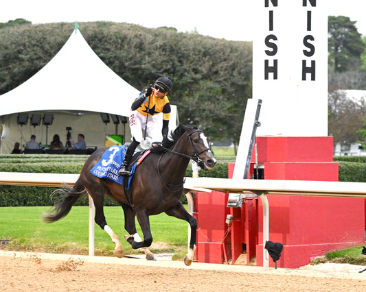 COUNTING STARS - The Fantasy Stakes G2 - 03-27-26 - R11 - OP - Finish 05 - Coady Media - Kurtis Coady Photography
