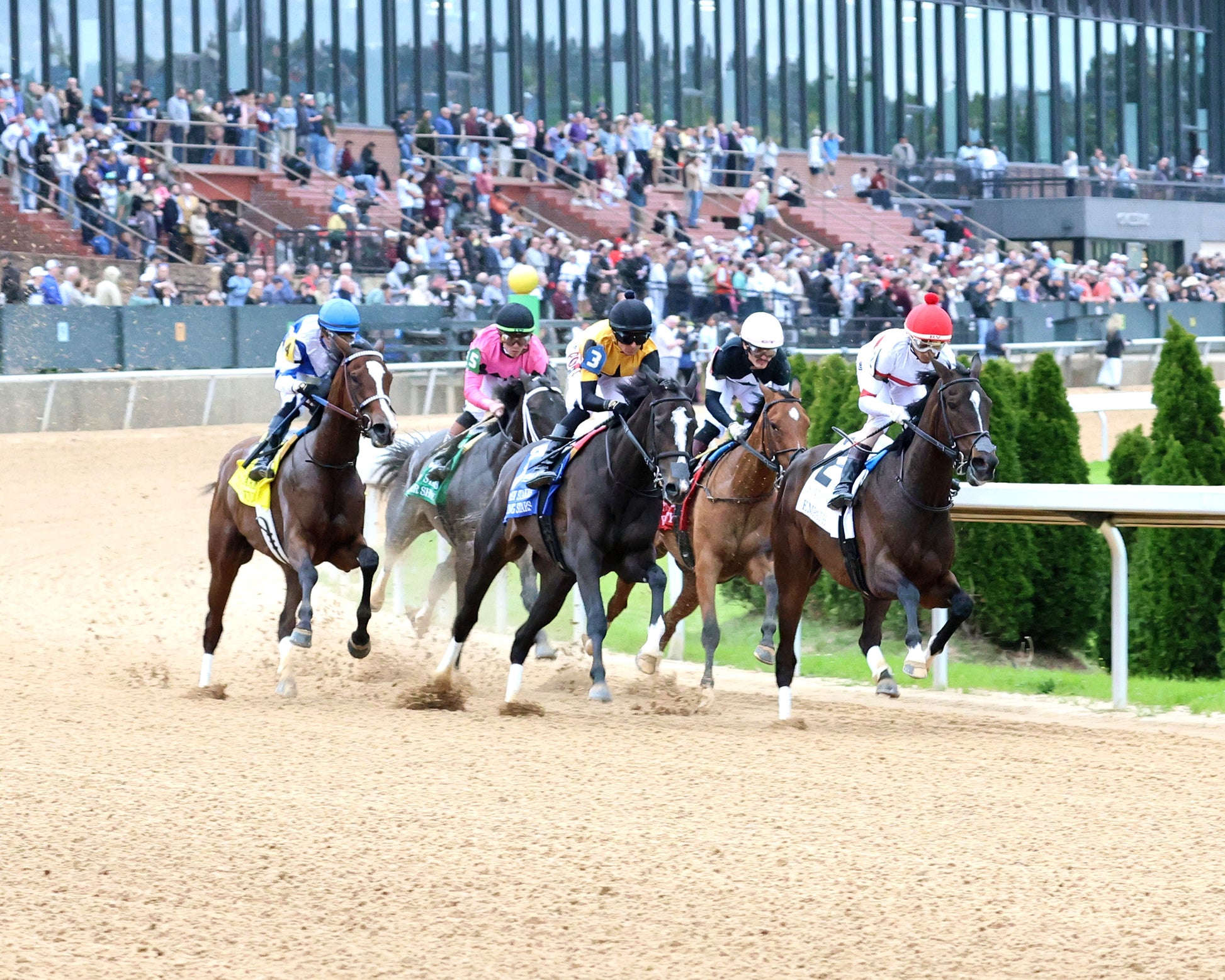 COUNTING STARS - The Fantasy Stakes G2 - 03-27-26 - R11 - OP - First Turn 01 - Coady Media - Kurtis Coady Photography
