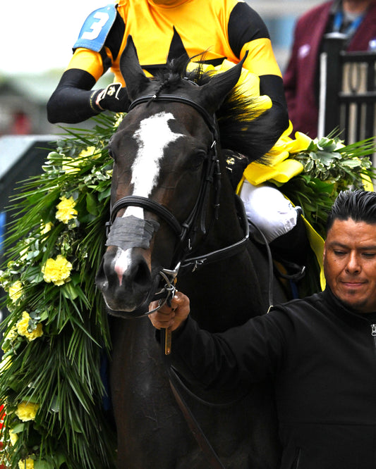 COUNTING STARS - The Fantasy Stakes G2 - 03-27-26 - R11 - OP - Garland 01 - Coady Media - Kurtis Coady Photography