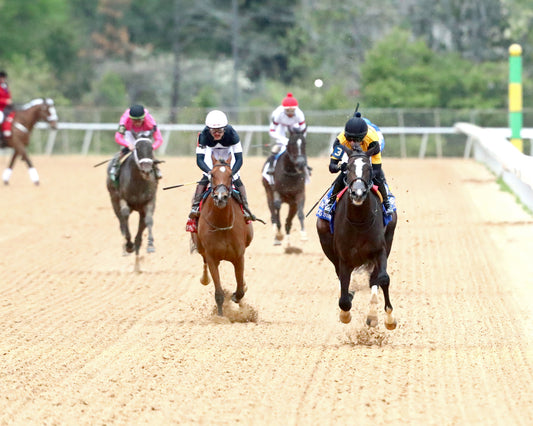 COUNTING STARS - The Fantasy Stakes G2 - 03-27-26 - R11 - OP - Head On 01 - Coady Media - Kurtis Coady Photography