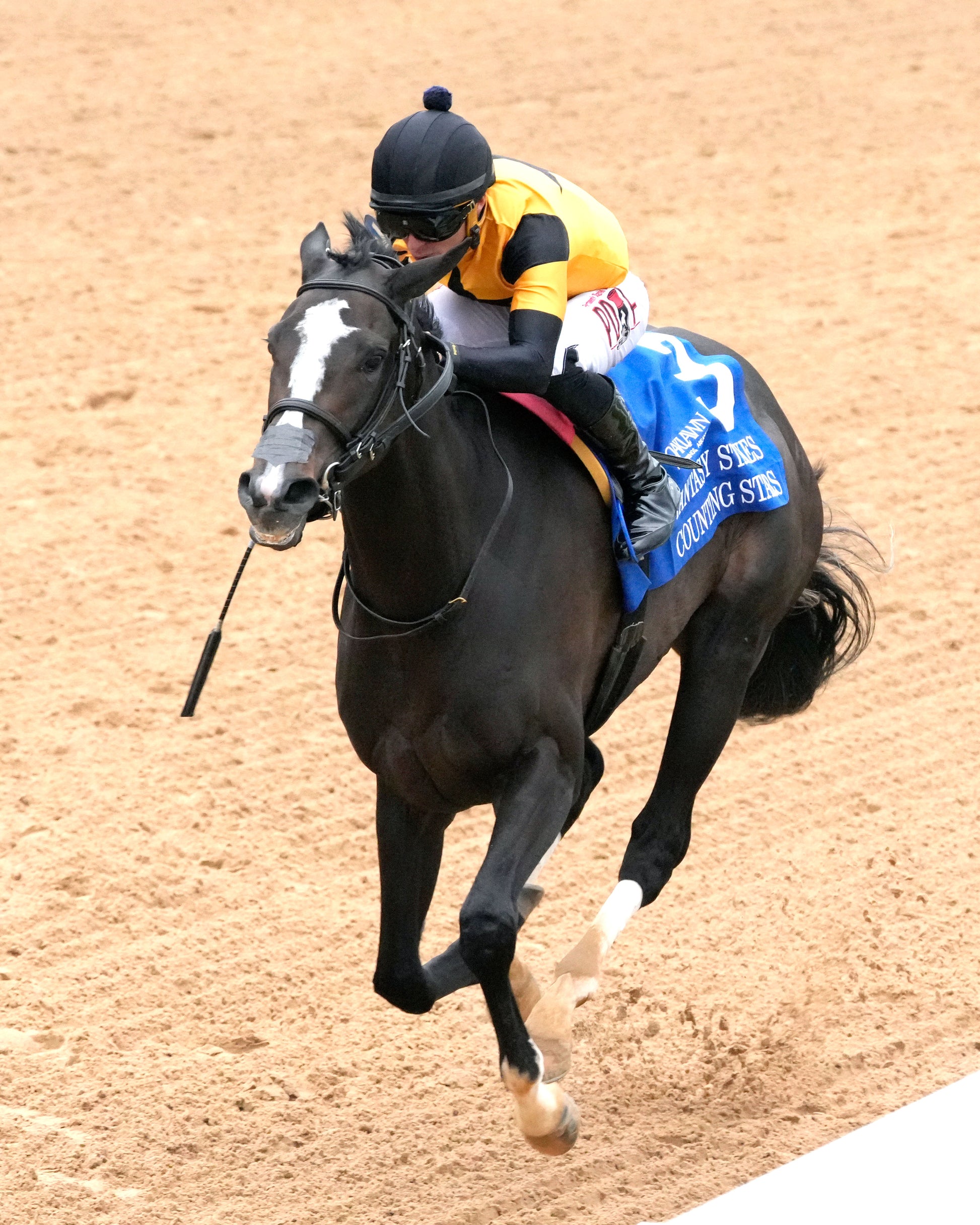COUNTING STARS - The Fantasy Stakes G2 - 03-27-26 - R11 - OP - Inside Finish 02 - Coady Media - Kurtis Coady Photography