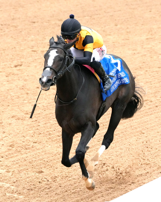 COUNTING STARS - The Fantasy Stakes G2 - 03-27-26 - R11 - OP - Inside Finish 02 - Coady Media - Kurtis Coady Photography