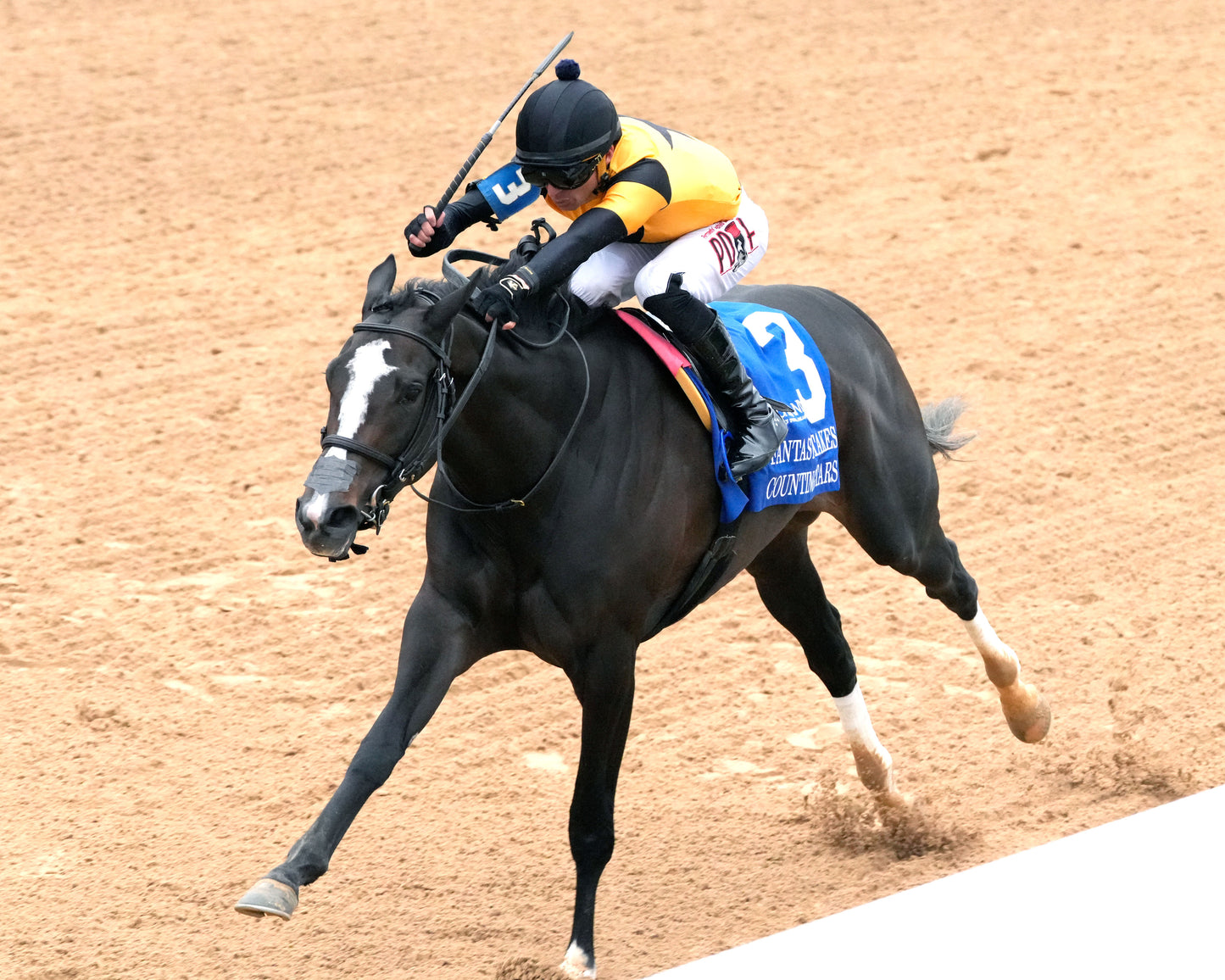 COUNTING STARS - The Fantasy Stakes G2 - 03-27-26 - R11 - OP - Inside Finish 04 - Coady Media - Kurtis Coady Photography