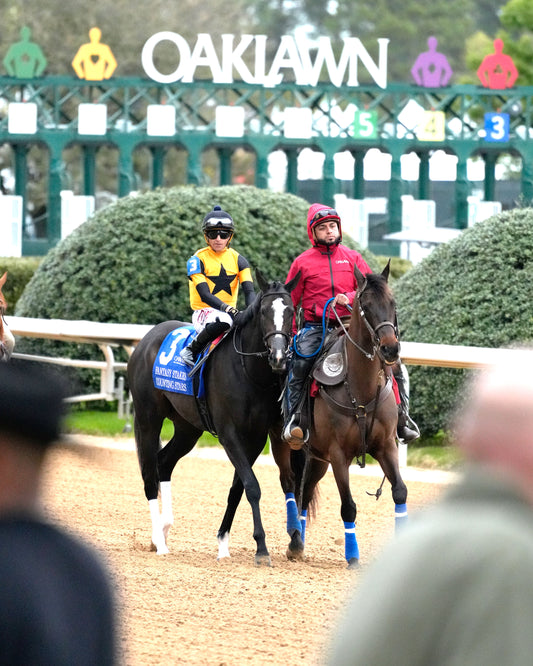 COUNTING STARS - The Fantasy Stakes G2 - 03-27-26 - R11 - OP - Post Parade 01 - Coady Media - Kurtis Coady Photography