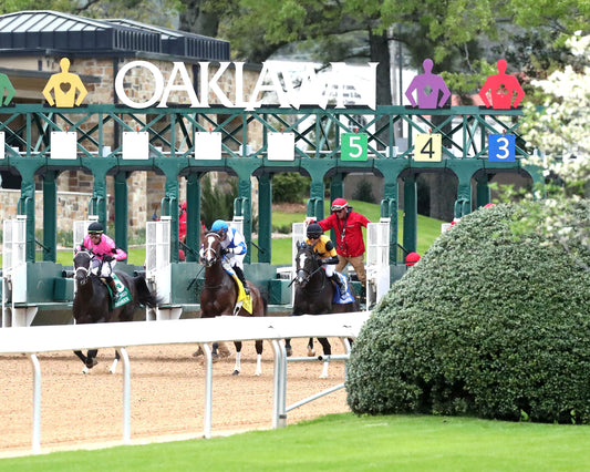 COUNTING STARS - The Fantasy Stakes G2 - 03-27-26 - R11 - OP - Start 02 - Coady Media - Kurtis Coady Photography