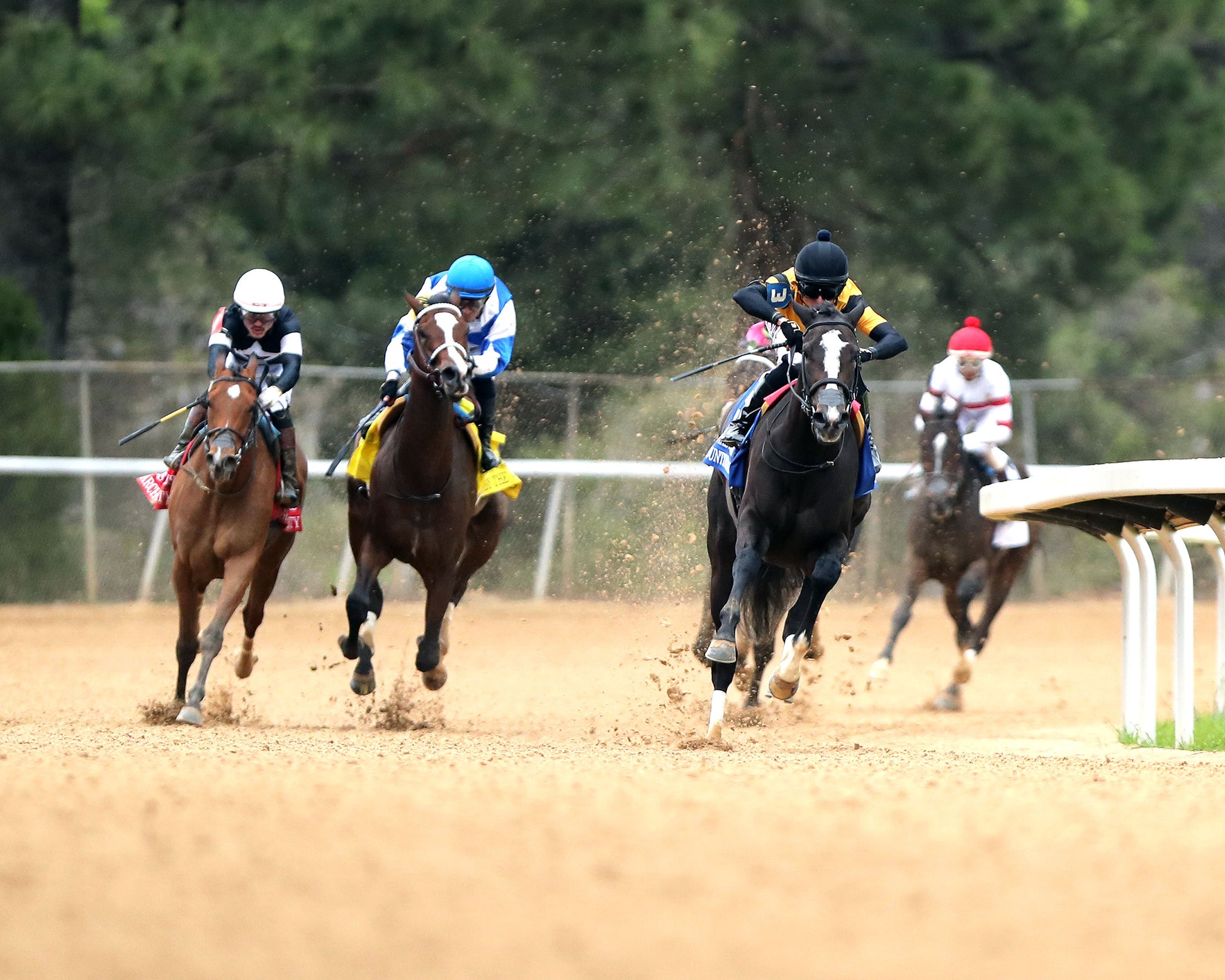 COUNTING STARS - The Fantasy Stakes G2 - 03-27-26 - R11 - OP - Turn 01 - Coady Media - Kurtis Coady Photography