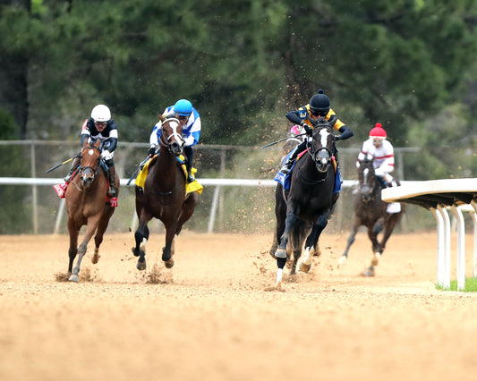 COUNTING STARS - The Fantasy Stakes G2 - 03-27-26 - R11 - OP - Turn 01 - Coady Media - Kurtis Coady Photography