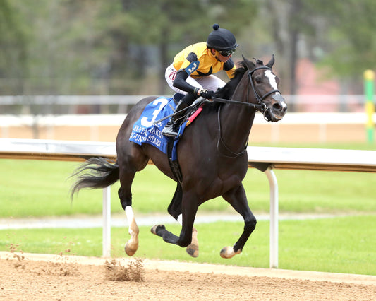 COUNTING STARS - The Fantasy Stakes G2 - 03-27-26 - R11 - OP - Turn 02 - Coady Media - Kurtis Coady Photography