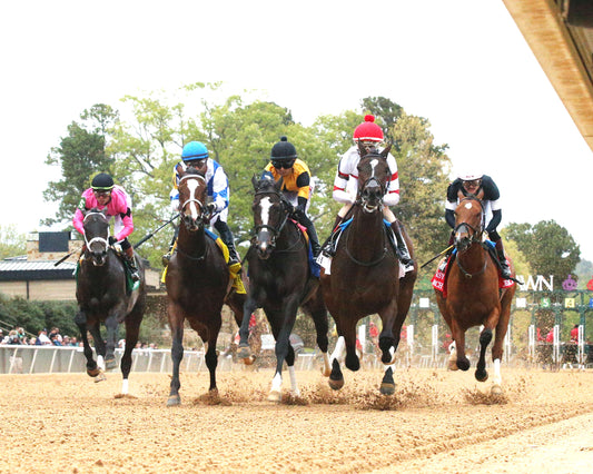 COUNTING STARS - The Fantasy Stakes G2 - 03-27-26 - R11 - OP - Under Rail - First Pass 01 - Coady Media - Kurtis Coady Photography
