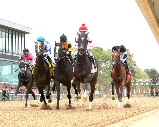 COUNTING STARS - The Fantasy Stakes G2 - 03-27-26 - R11 - OP - Under Rail - First Pass 02 - Coady Media - Kurtis Coady Photography