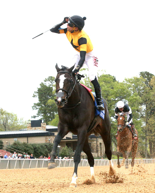 COUNTING STARS - The Fantasy Stakes G2 - 03-27-26 - R11 - OP - Under Rail 02 - Coady Media - Kurtis Coady Photography