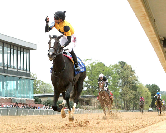 COUNTING STARS - The Fantasy Stakes G2 - 03-27-26 - R11 - OP - Under Rail 03 - Coady Media - Kurtis Coady Photography
