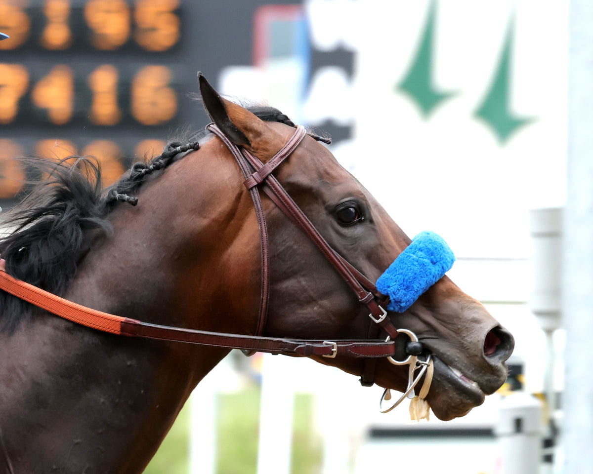 Open R08 File CRUDE VELOCITY - The Pat Day Mile G2 - 05-02-26 - R08 - CD - Tight Fin ...