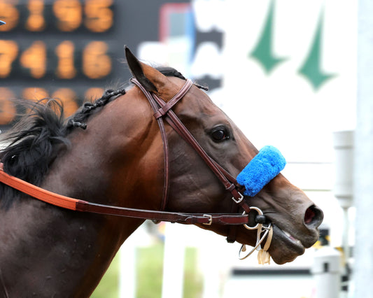 CRUDE VELOCITY - The Pat Day Mile G2 - 05-02-26 - R08 - CD - Tight Finish 02 - Coady Media - Kurtis Coady Photography