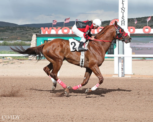 CUPCAKE COWBOY - 06-27-26 - R11 - WYO