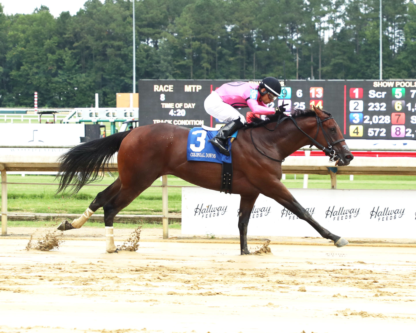 CYBER SPY - The Keswick Stakes - 08-02-26 - R08 - CNL - Finish 01