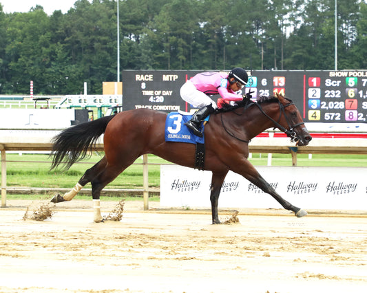 CYBER SPY - The Keswick Stakes - 08-02-26 - R08 - CNL - Finish 01