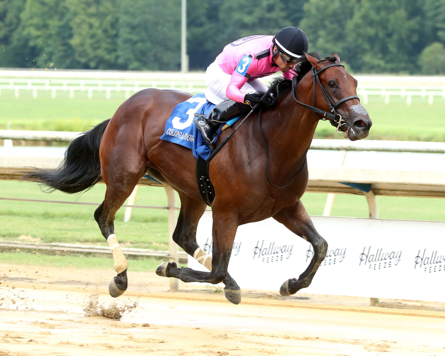 CYBER SPY - The Keswick Stakes - 08-02-26 - R08 - CNL - Finish 02