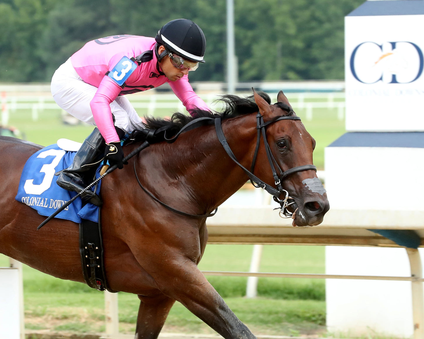 CYBER SPY - The Keswick Stakes - 08-02-26 - R08 - CNL - Finish 03