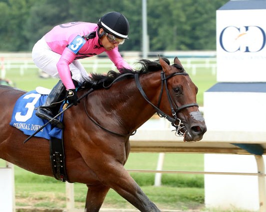 CYBER SPY - The Keswick Stakes - 08-02-26 - R08 - CNL - Finish 03