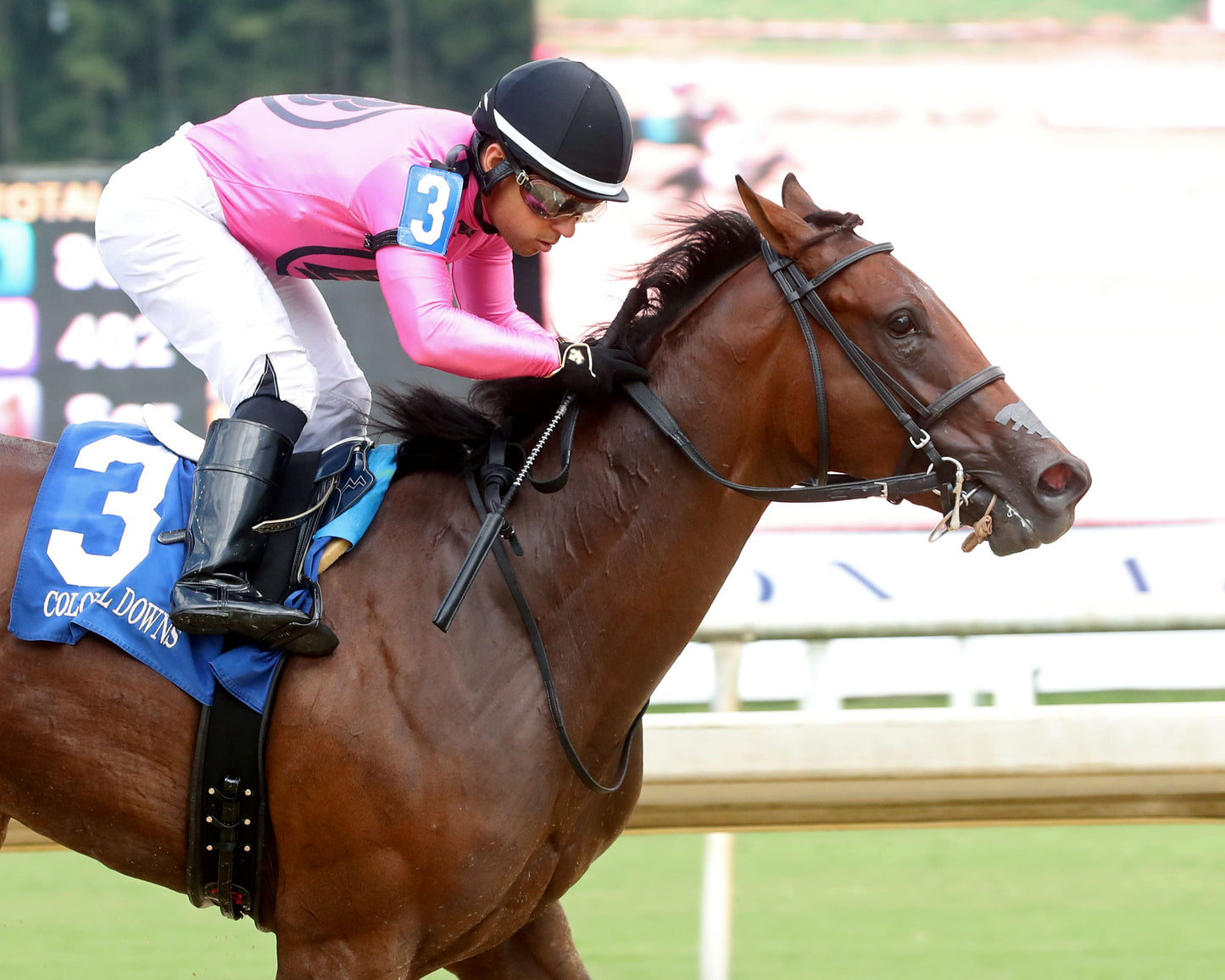 CYBER SPY - The Keswick Stakes - 08-02-26 - R08 - CNL - Gallop Out 01
