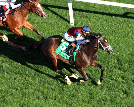 CY FAIR - The Mamzelle G3 - 04-30-26 - R11 - CD - Aerial Finish 01 - Coady Media - Kurtis Coady Photography