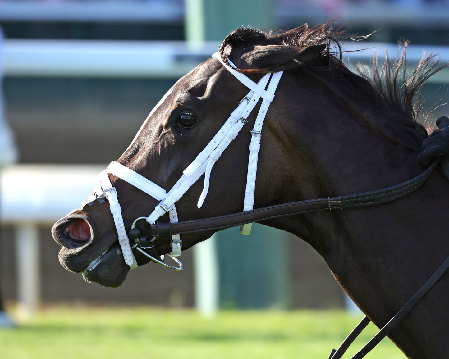 CY FAIR - The Mamzelle G3 - 04-30-26 - R11 - CD - Inside Finish 02 - Coady Media - Kurtis Coady Photography