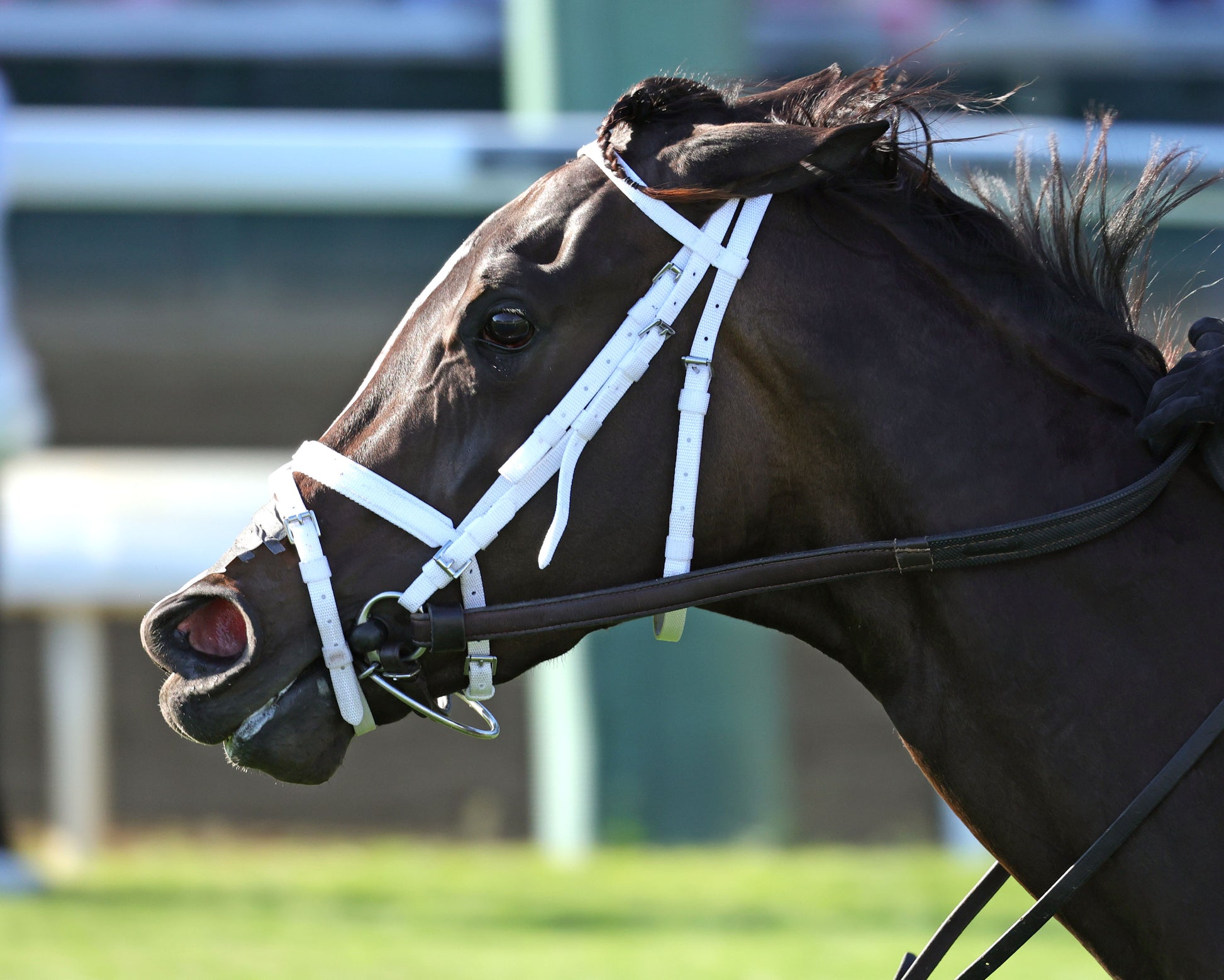 CY FAIR - The Mamzelle G3 - 04-30-26 - R11 - CD - Inside Finish 02 - Coady Media - Kurtis Coady Photography