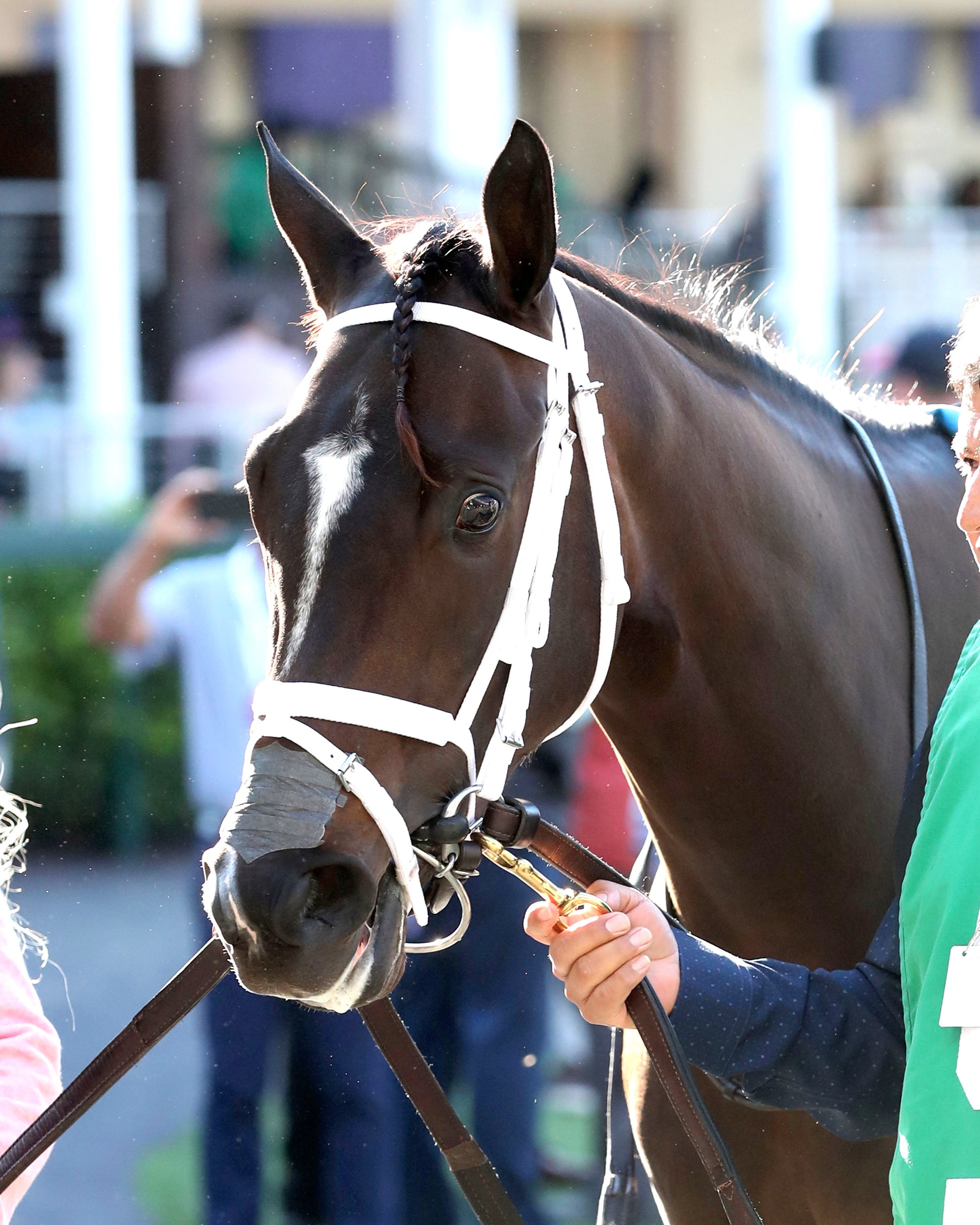 CY FAIR - The Mamzelle G3 - 04-30-26 - R11 - CD - Paddock 01 - Coady Media - Kurtis Coady Photography