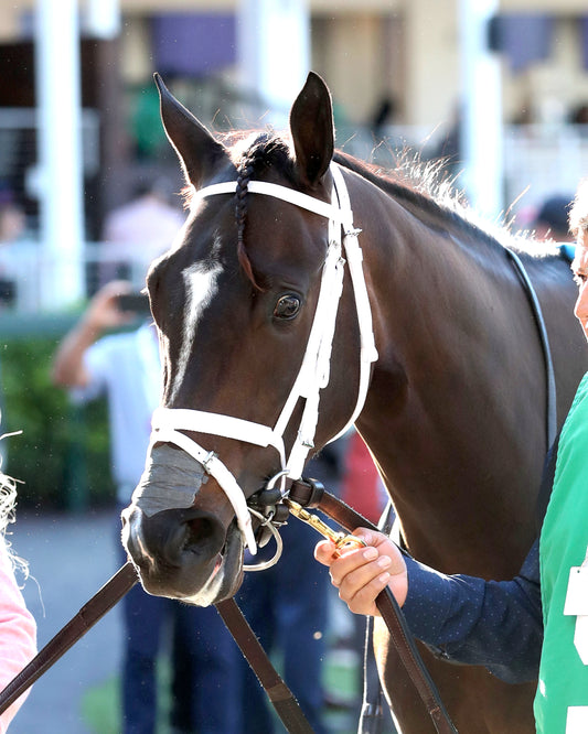 CY FAIR - The Mamzelle G3 - 04-30-26 - R11 - CD - Paddock 01 - Coady Media - Kurtis Coady Photography