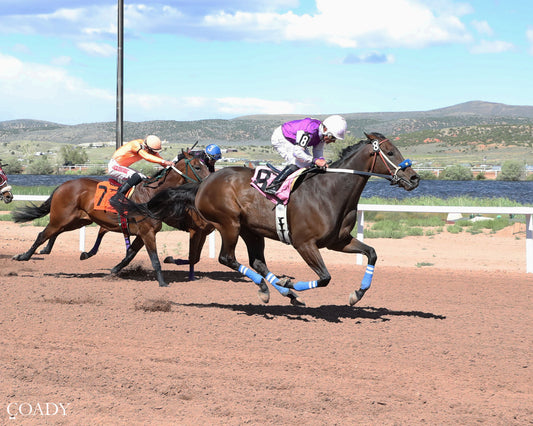 DADS ESTRELLA - 06-28-26 - R09 - WYO