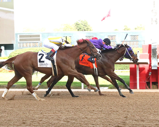 DELACINA - Ratings Handicap - 03-13-26 - R09 - OP - Finish 01 - Coady Media - Kurtis Coady Photography