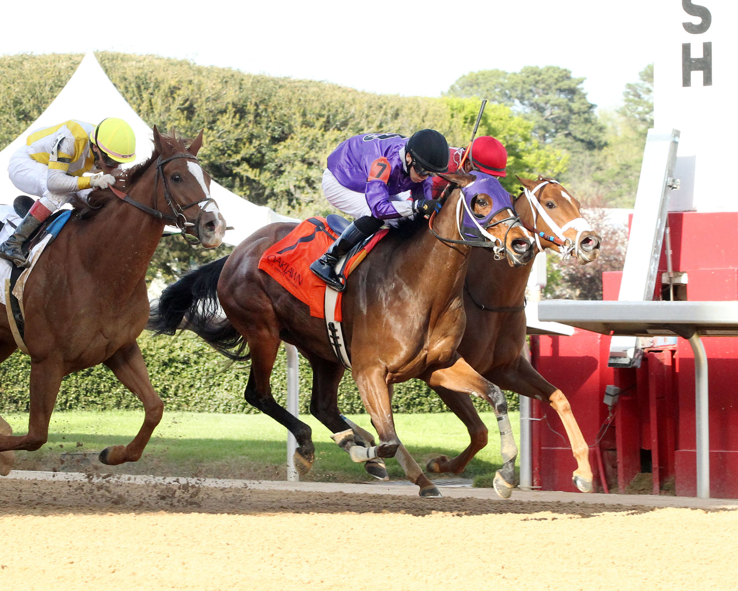 DELACINA - Ratings Handicap - 03-13-26 - R09 - OP - Finish 02 - Coady Media - Kurtis Coady Photography