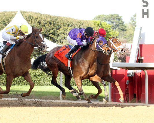 DELACINA - Ratings Handicap - 03-13-26 - R09 - OP - Finish 02 - Coady Media - Kurtis Coady Photography