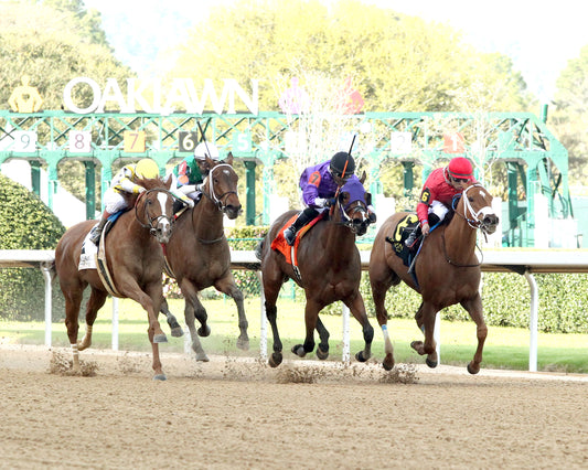 DELACINA - Ratings Handicap - 03-13-26 - R09 - OP - Finish 03 - Coady Media - Kurtis Coady Photography