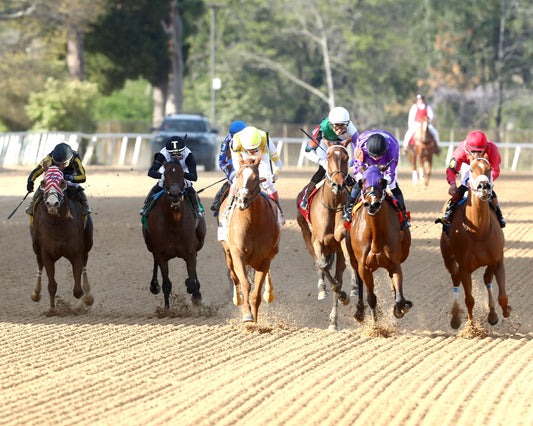 DELACINA - Ratings Handicap - 03-13-26 - R09 - OP - Head On 01 - Coady Media - Kurtis Coady Photography
