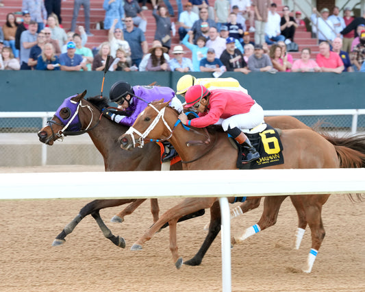 DELACINA - Ratings Handicap - 03-13-26 - R09 - OP - Inside Finish 01 - Coady Media - Kurtis Coady Photography