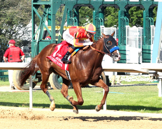 DESERT GATE - The Hot Springs Stakes - 03-26-26 - R08 - OP - Finish 02 - Coady Media - Kurtis Coady Photography