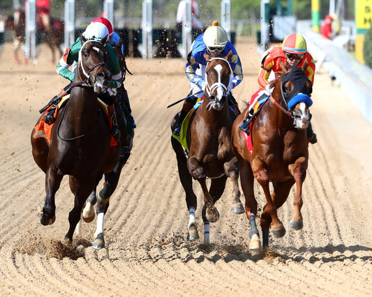 DESERT GATE - The Hot Springs Stakes - 03-26-26 - R08 - OP - First Turn 01 - Coady Media - Kurtis Coady Photography