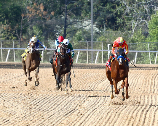 DESERT GATE - The Hot Springs Stakes - 03-26-26 - R08 - OP - Head On 01 - Coady Media - Kurtis Coady Photography