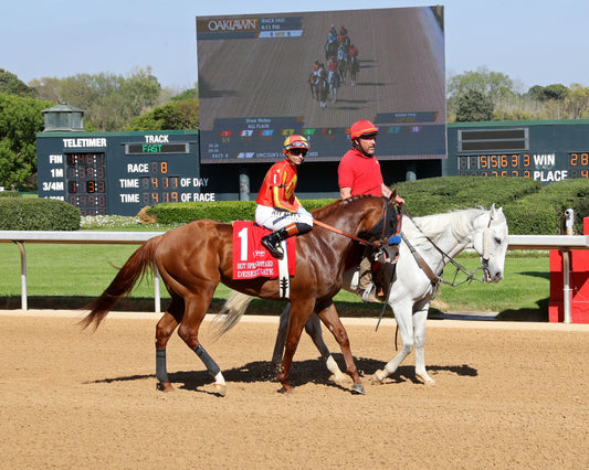 DESERT GATE - The Hot Springs Stakes - 03-26-26 - R08 - OP - Post Parade 02 - Coady Media - Kurtis Coady Photography