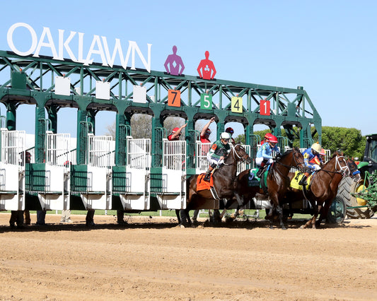 DESERT GATE - The Hot Springs Stakes - 03-26-26 - R08 - OP - Start 01 - Coady Media - Kurtis Coady Photography