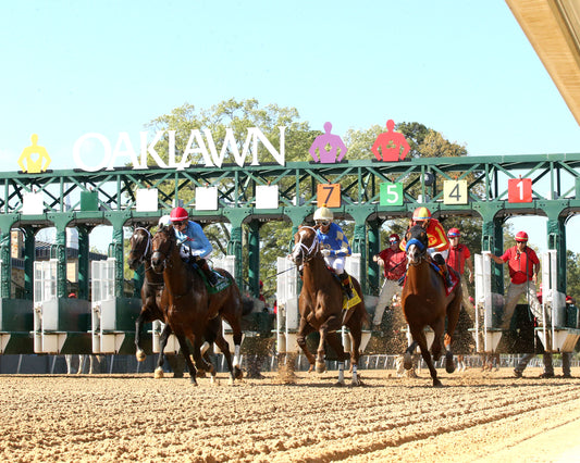 DESERT GATE - The Hot Springs Stakes - 03-26-26 - R08 - OP - Start 02 - Coady Media - Kurtis Coady Photography