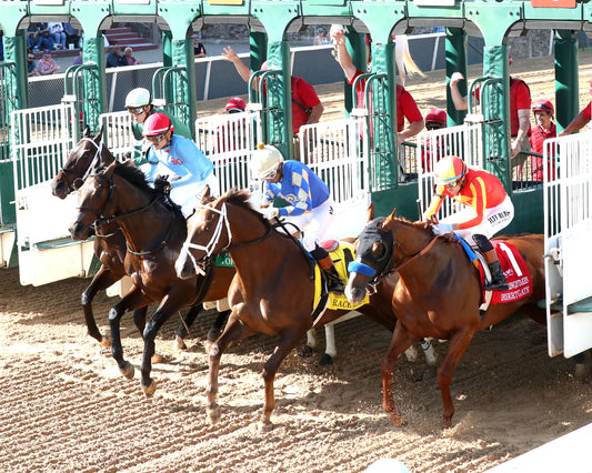 DESERT GATE - The Hot Springs Stakes - 03-26-26 - R08 - OP - Start 03 - Coady Media - Kurtis Coady Photography