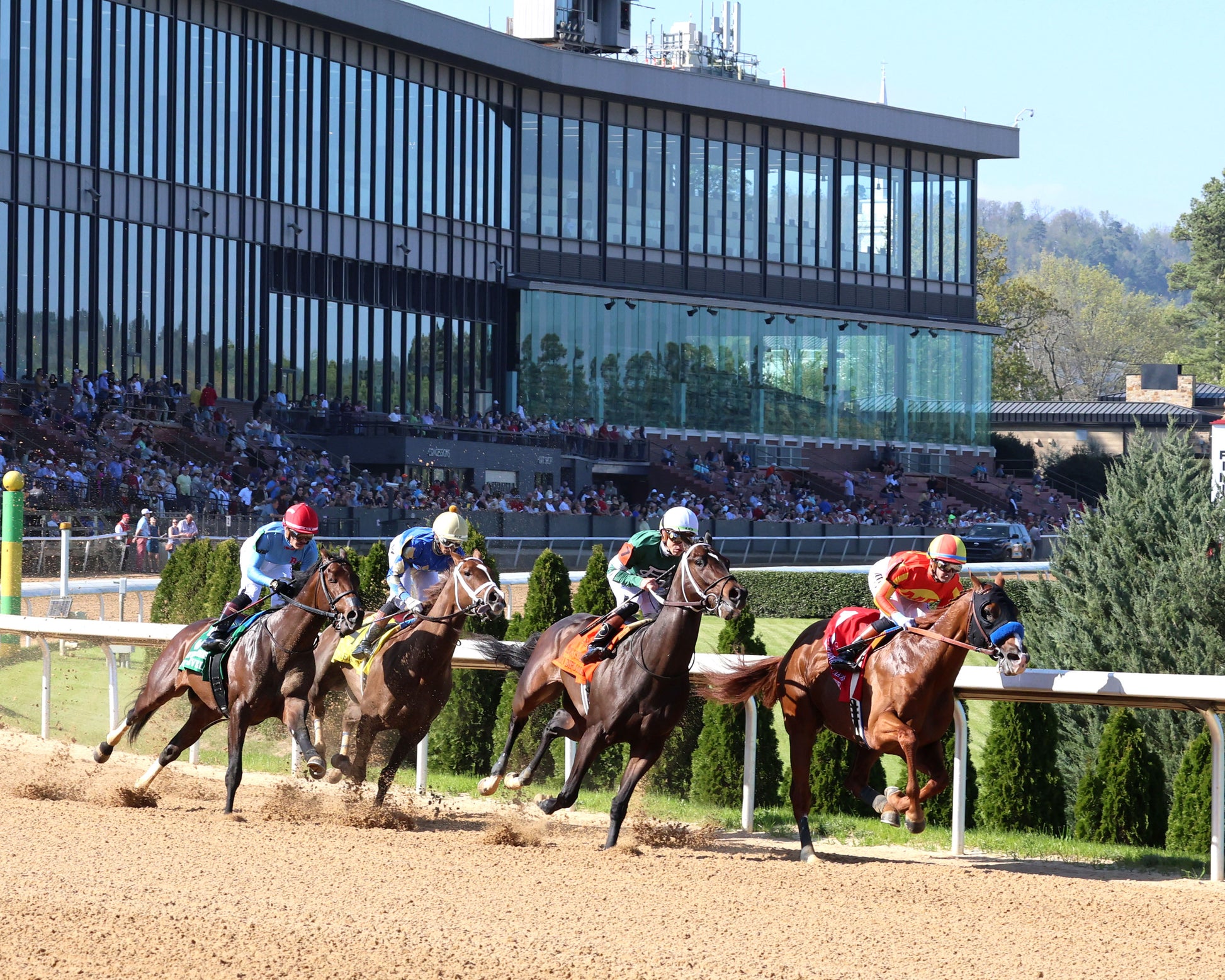 DESERT GATE - The Hot Springs Stakes - 03-26-26 - R08 - OP - Sweeping Turn 01 - Coady Media - Kurtis Coady Photography
